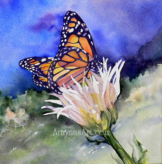 monarch butterfly painting sunbathing